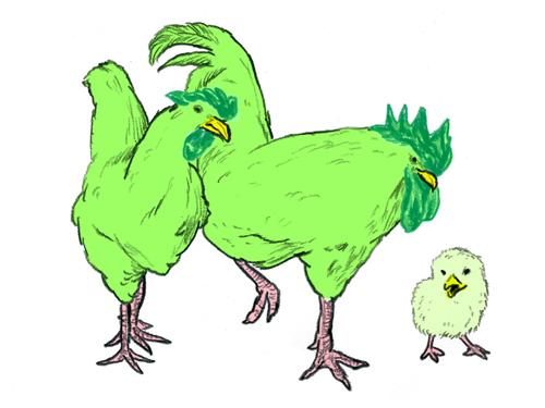 緑の鳥