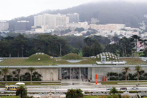 greenz/グリーンズ　The California Academy of Sciences