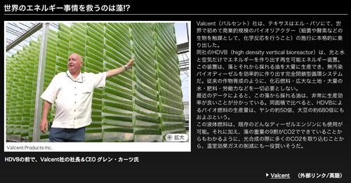 greenz/グリーンズ　Yahoo! JAPAN アースプロジェクト　・アースギャラリー