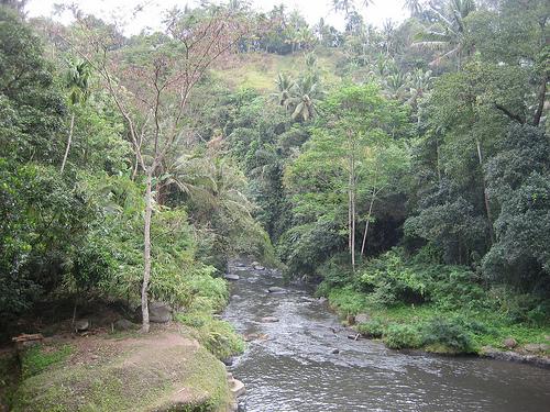 Ayung River in Bali: Creative Commons. Some Rights Reserved. Photo by marcomazzei