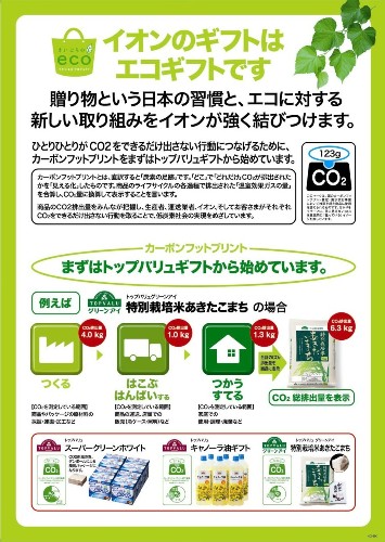 greenz/グリーンズ　eaon_leaflet