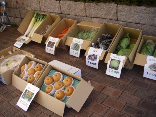 となりでは栃木県の茂木町から来た「美土里野菜」が販売されていました。森林間伐材や落ち葉まで混入した有機堆肥で作られた、森林を保全に貢献する有機野菜だそうです