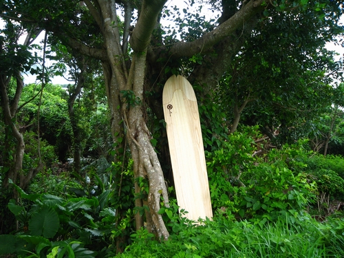 木製ボード「xalaia（エックスアライア）」をたずねて沖縄へ！　キジムナーが出てきそう
