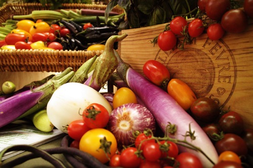 greenz/グリーンズ greenz/グリーンズ