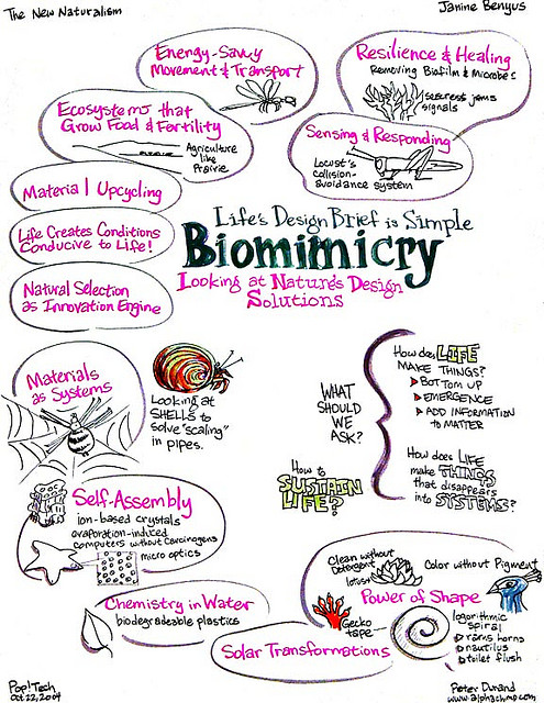 3799184542_a61c1c24e9_z Some rights reserved by AlphachimpStudio