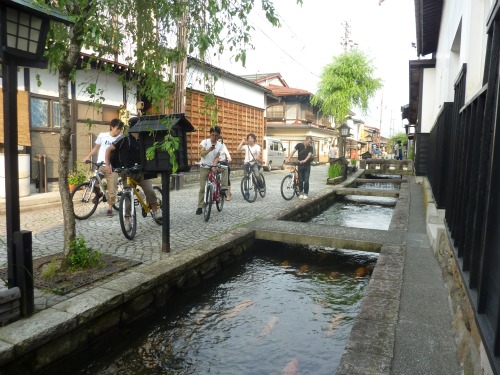 水量の豊富な水路がこの古川町の特徴