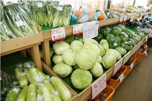 直売所には新鮮な野菜が豊富に並ぶ。