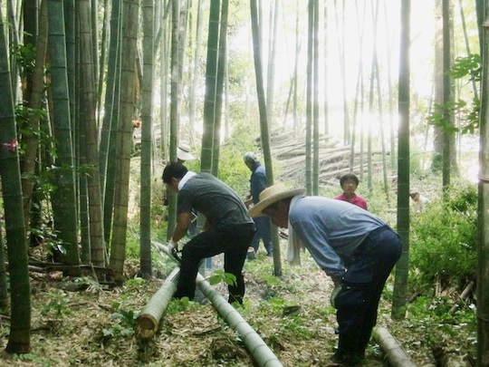竹やぶを解消しながら竹細工や竹炭をつくる「鎮竹林プロジェクト」など、現在も住民チームによるプロジェクトが活動を続けている。