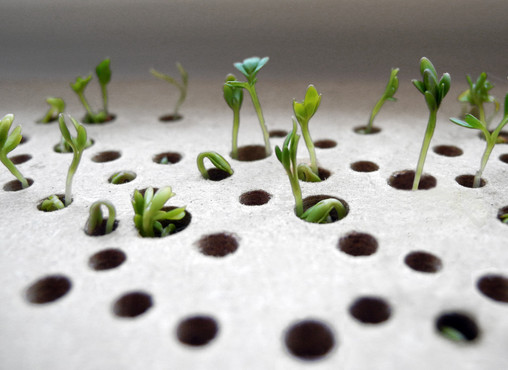 Sprout Table, © 2012 Lena Louisa Meyer