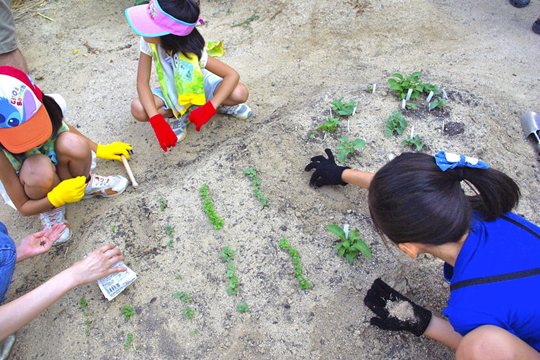 『種から育てる子ども料理教室』ガーデンのようす