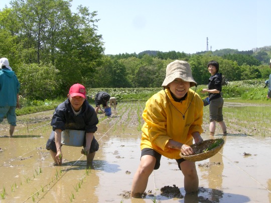 空気の澄んだ北海道。仲間とする田植えの楽しさに笑いがこぼれる。