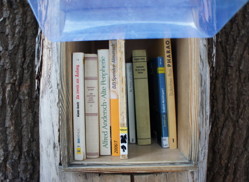 木をくりぬいて作った棚に、市民が持ち寄った本が並んでいる