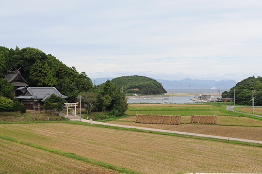 島の神社と、丹精こめてつくられる、天日乾燥のハデ干し米