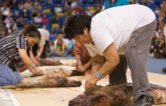 Seal skinning competition, WEIO