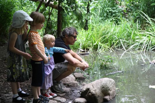 子どもたちは毎日庭で植物を育てたり、池のカメやメダカを眺めたり、自然に触れながら育ちます