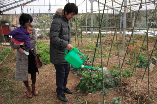 今では、つばめちゃんと一緒に通う畑。季節の野菜はここだけで賄えてしまうほどの収穫量なのだとか。PHOTO: SHINICHI ARAKAWA