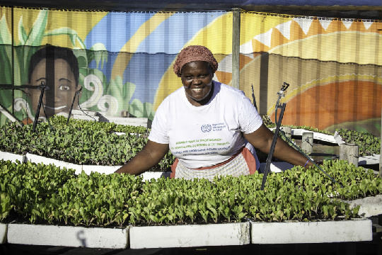 高価な野菜は自分たちで育てちゃおう 南アフリカの貧しい人たちのために コミュニティ菜園を広げる Foodpods Designing South Africa Greenz Jp グリーンズ
