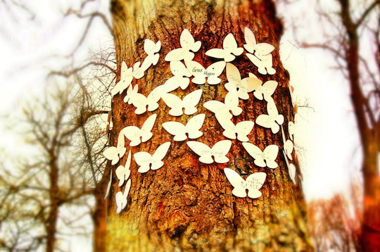 Butterflies6