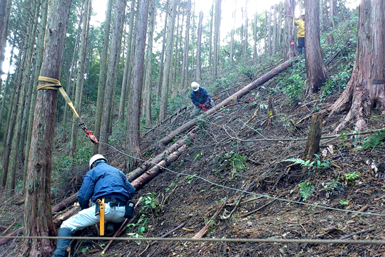 搬出などには、土佐の森・救援隊が考案した「土佐の森方式」による架線集材を活用。活動を通じて森林ボランティア育成にも力を入れる。