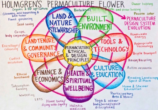 permaculture02