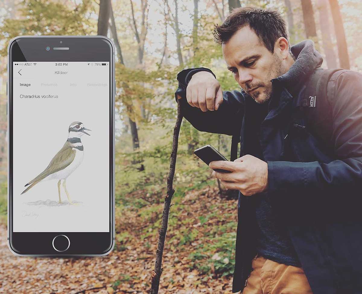 散歩するとき 何に耳を澄ましてる 音楽よりも鳥のさえずりが気になるあなたにオススメ 0種類の鳥から名前を自動検索してくれるアプリ Song Sleuth Greenz Jp グリーンズ