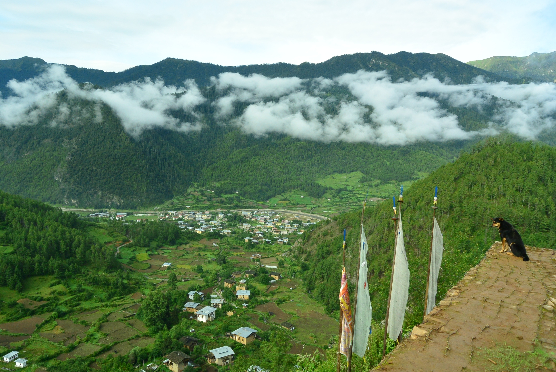 ブータンに学ぶ 小さな国の大きな幸せのつくり方 Greenz Jp グリーンズ