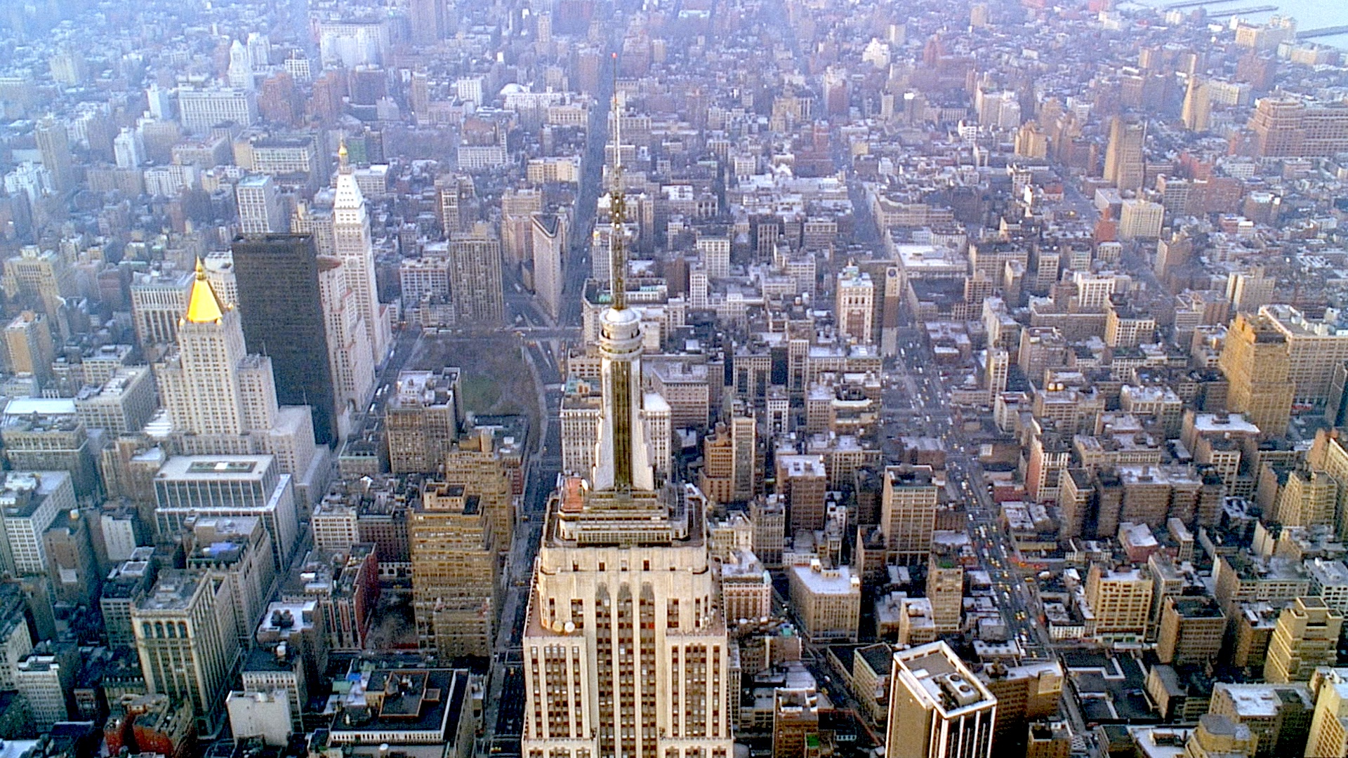 都市 のことを考えると 自分の望むものが見えてくる 60年代ニューヨークで闘った都市活動家に学ぶ 闘争 の意味 ジェイン ジェイコブズ ニューヨーク都市計画革命 Greenz Jp グリーンズ