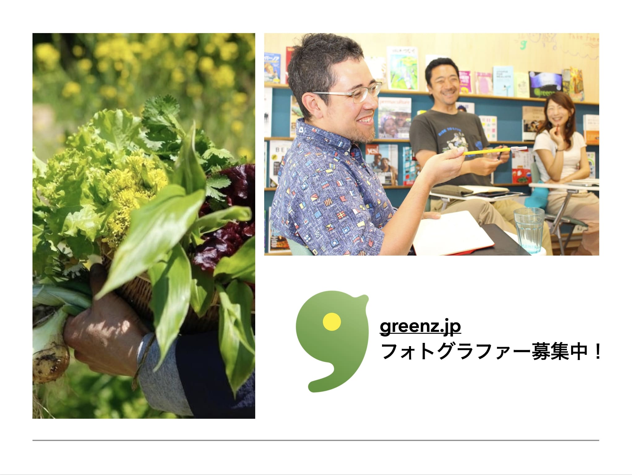 ライター募集 植物 コレクション