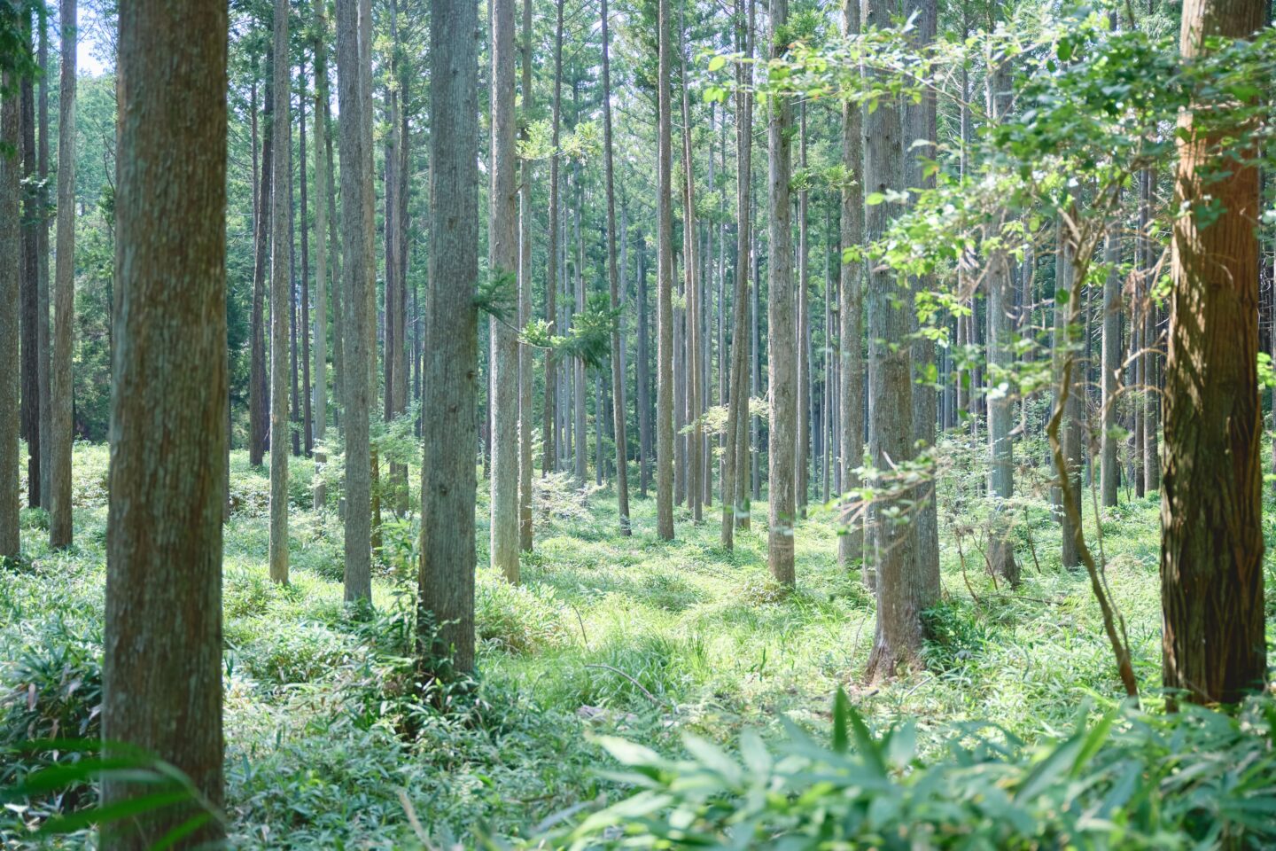 「もりまちの求人 岡崎市│WORK for GOOD」