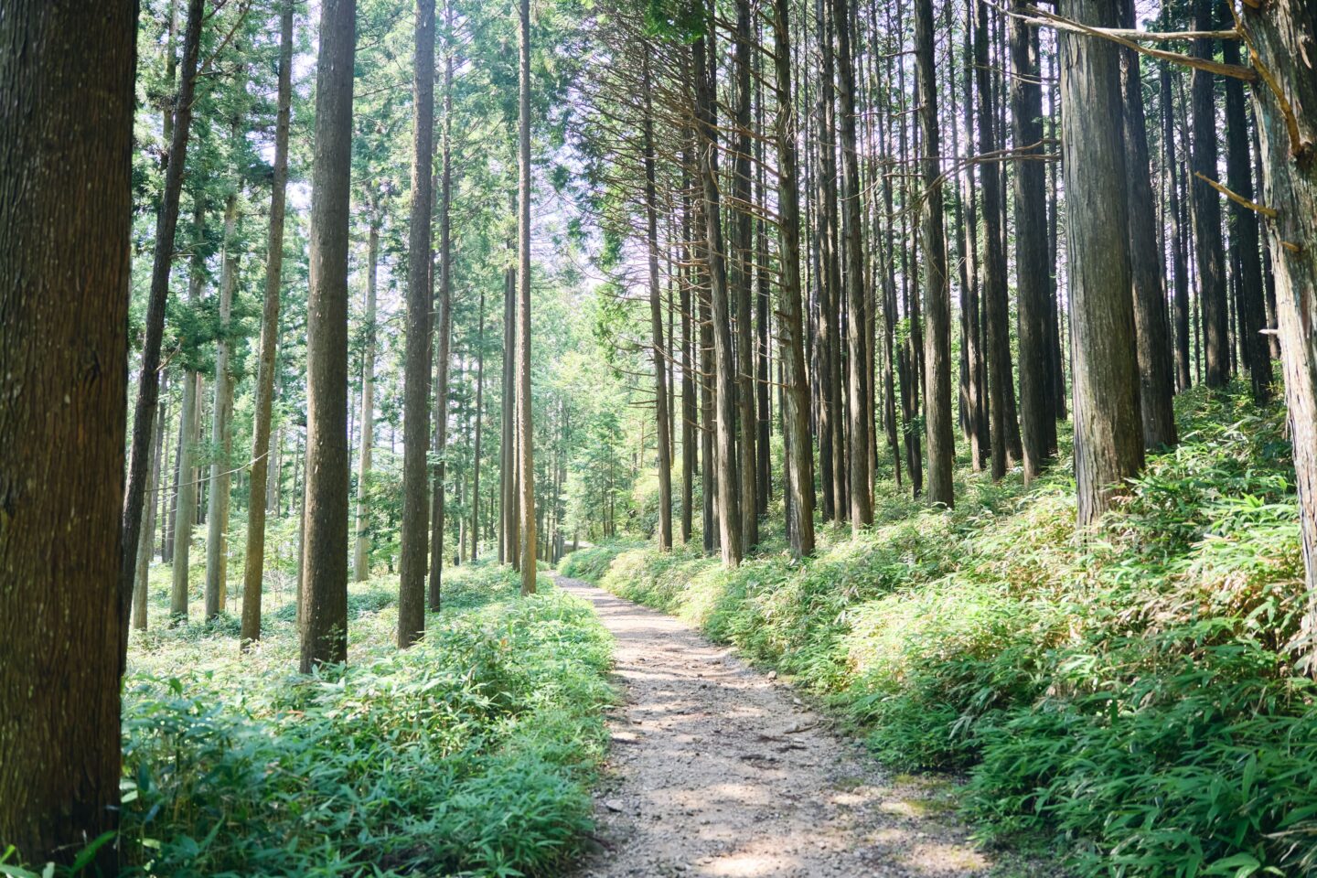 「もりまちの求人 岡崎市│WORK for GOOD」