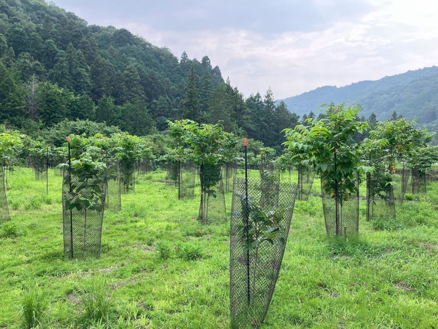 「もりまちの求人 岡崎市│WORK for GOOD」