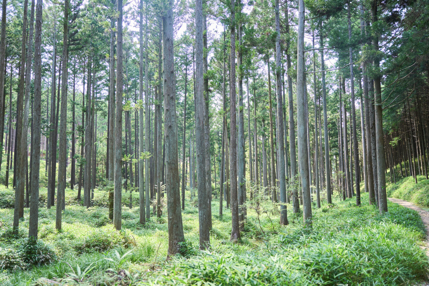「もりまちの求人 岡崎市│WORK for GOOD」