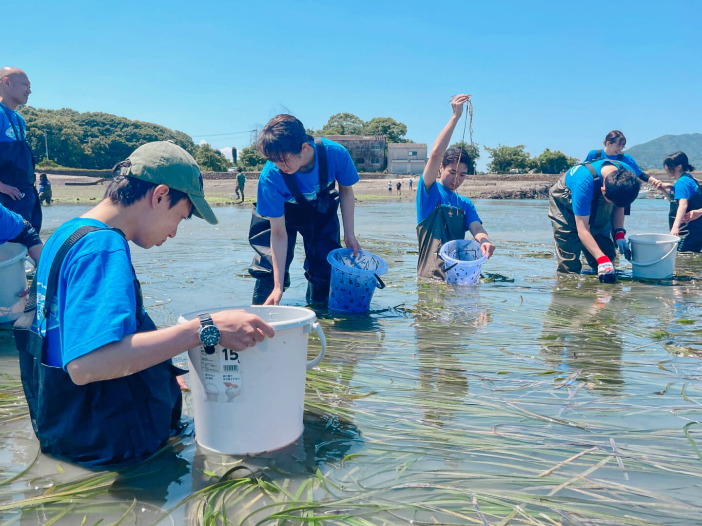 上天草ブルーカーボン　グリーンズ