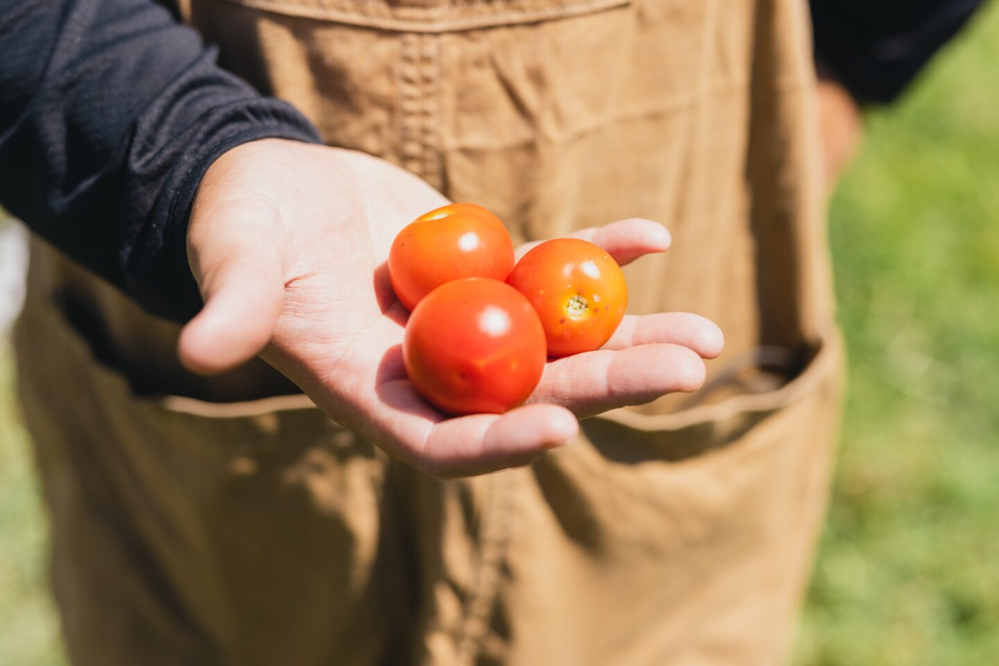 鴨志田農園 グリーンズ