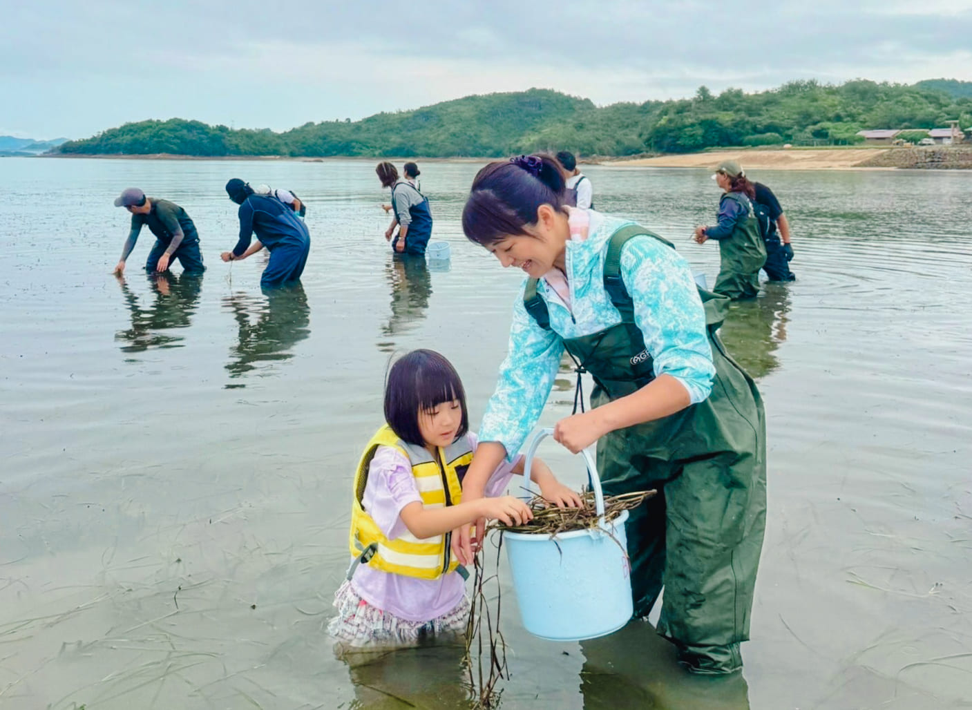 上天草ブルーカーボン　グリーンズ