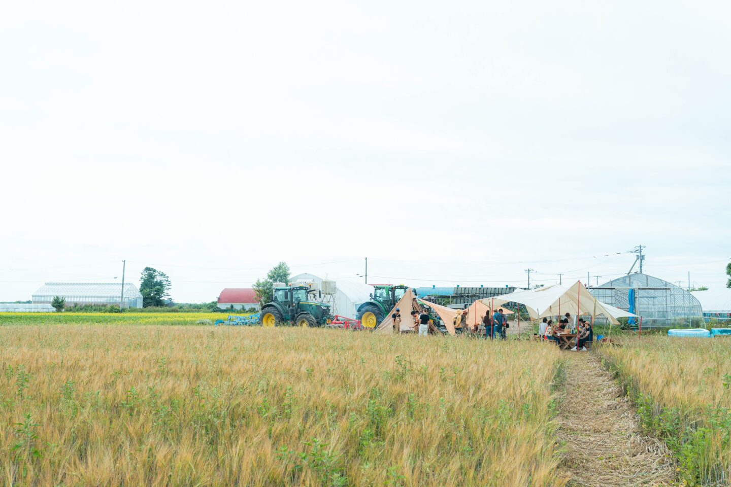 RIKKA グリーンズ