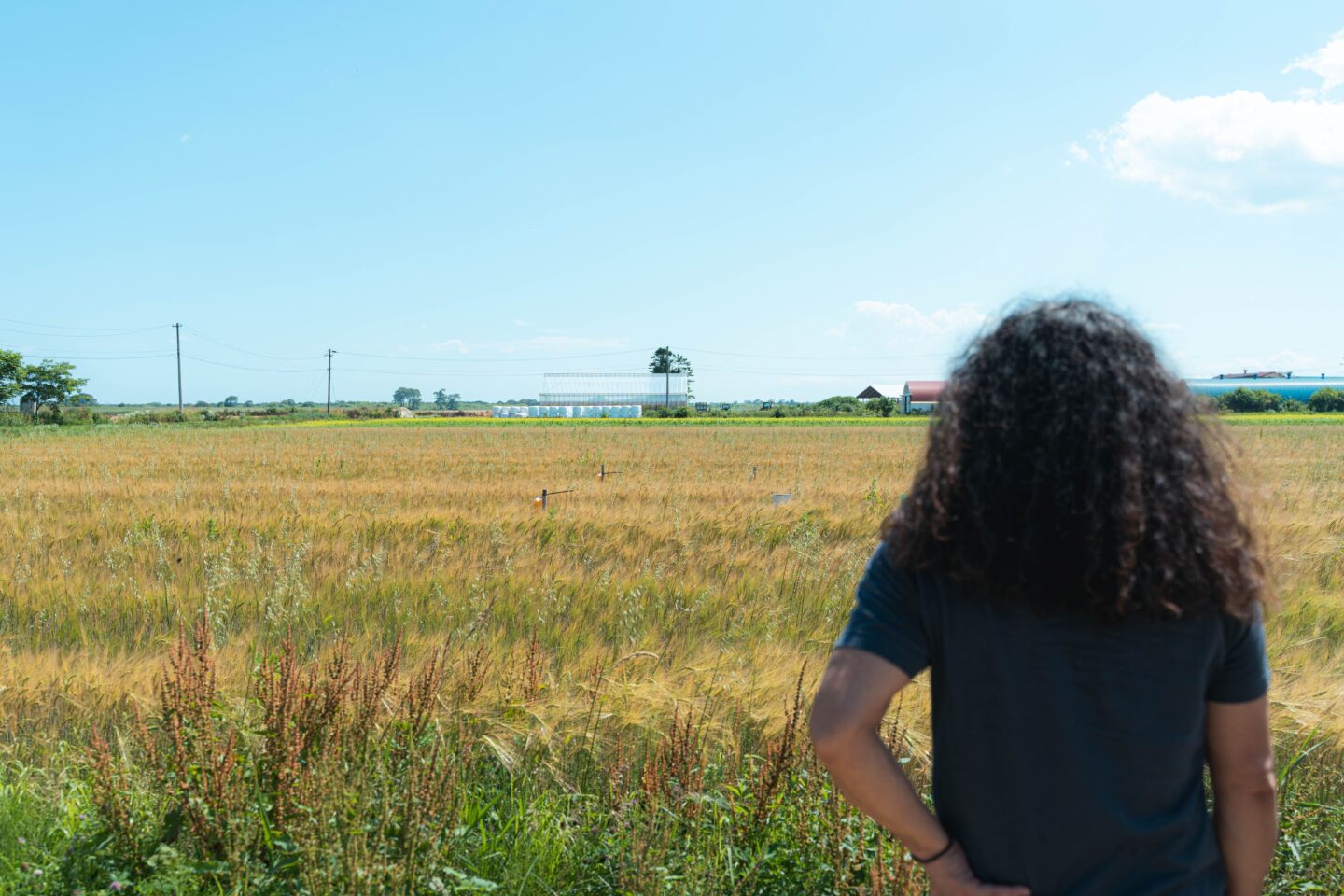 RIKKA グリーンズ