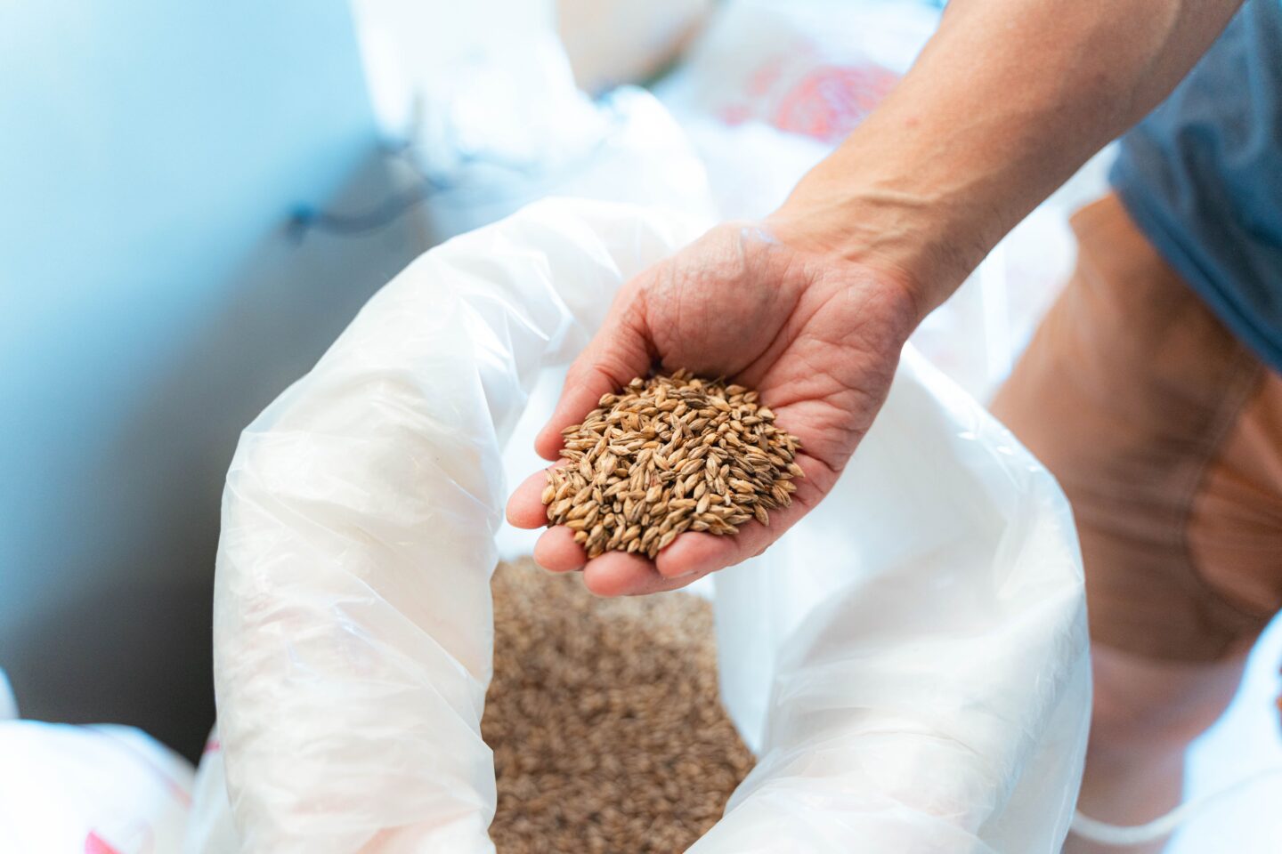 RIKKA グリーンズ