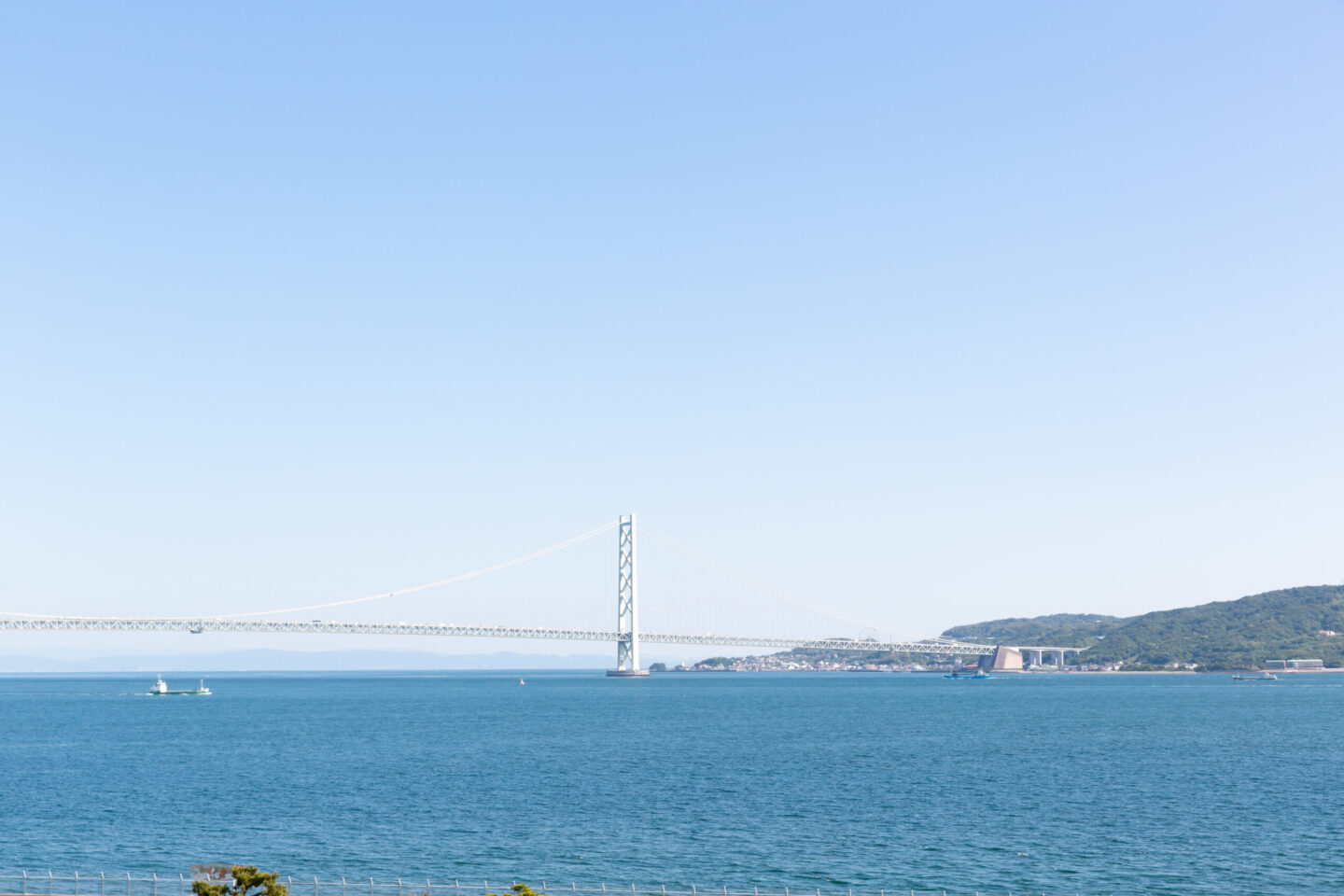 アニュアルレポート｜グリーンズ