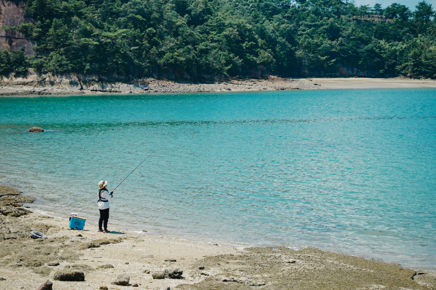 上天草ブルーカーボン　グリーンズ