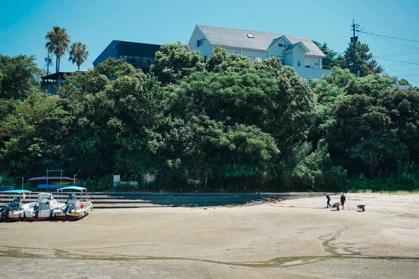 上天草ブルーカーボン　グリーンズ