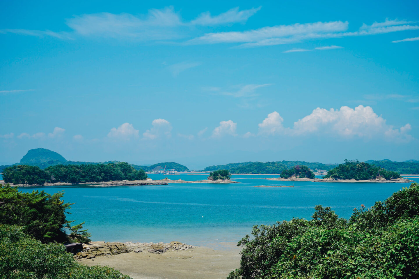 上天草ブルーカーボン　グリーンズ