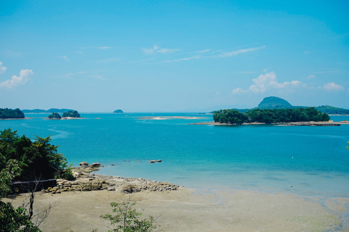 上天草ブルーカーボン　グリーンズ