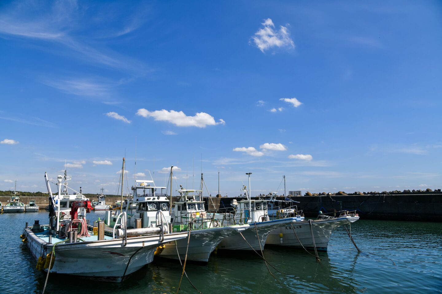 みらいマルシェ　グリーンズ