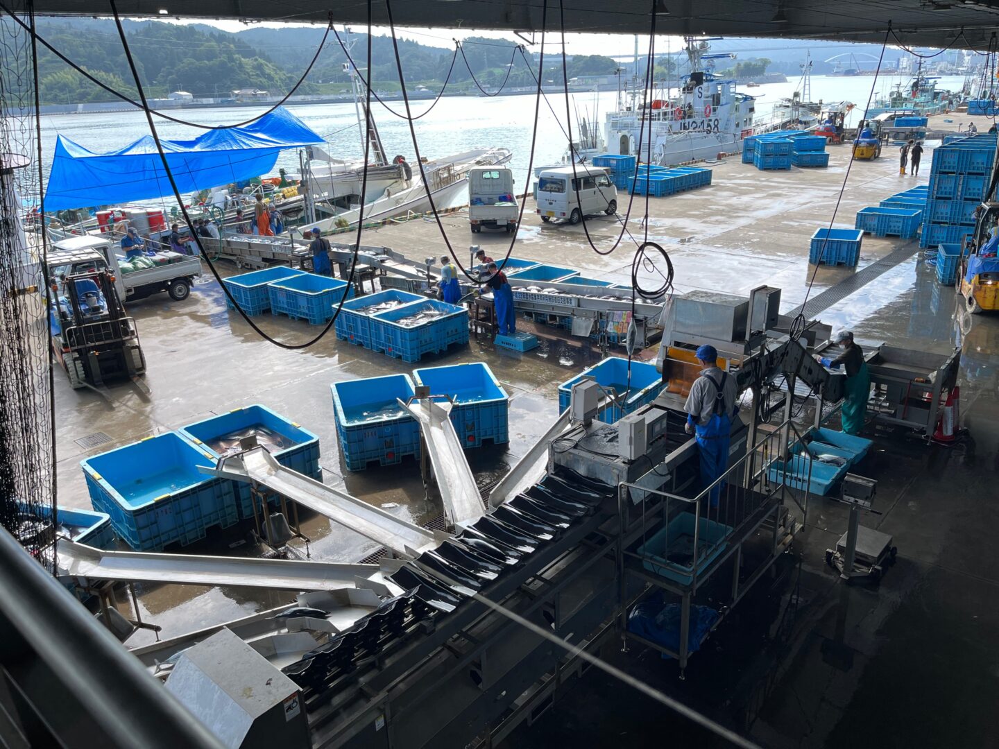 みらいマルシェ　グリーンズ