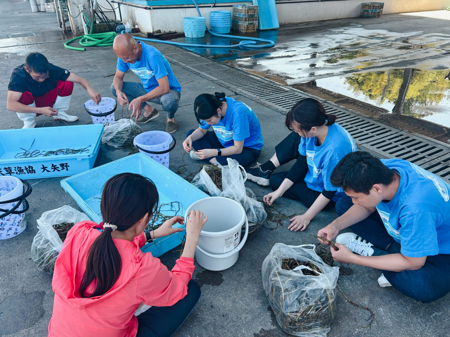 上天草ブルーカーボン　グリーンズ