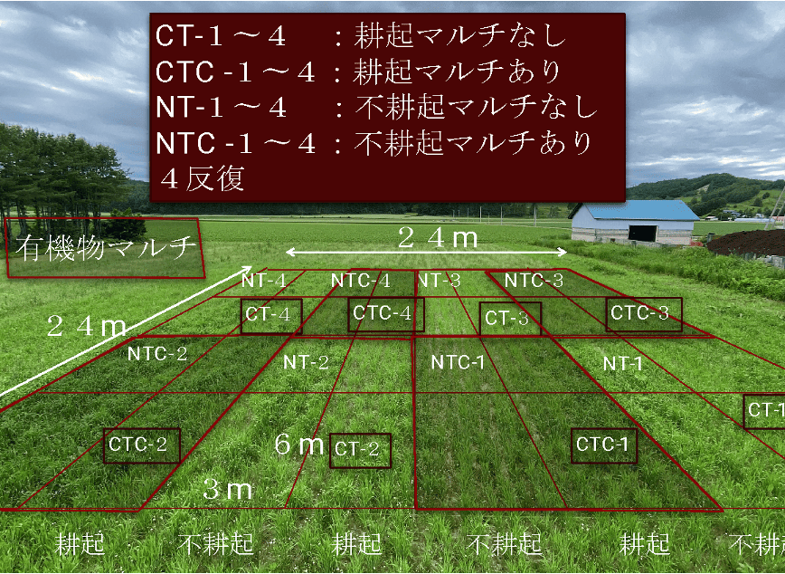 RIKKA グリーンズ