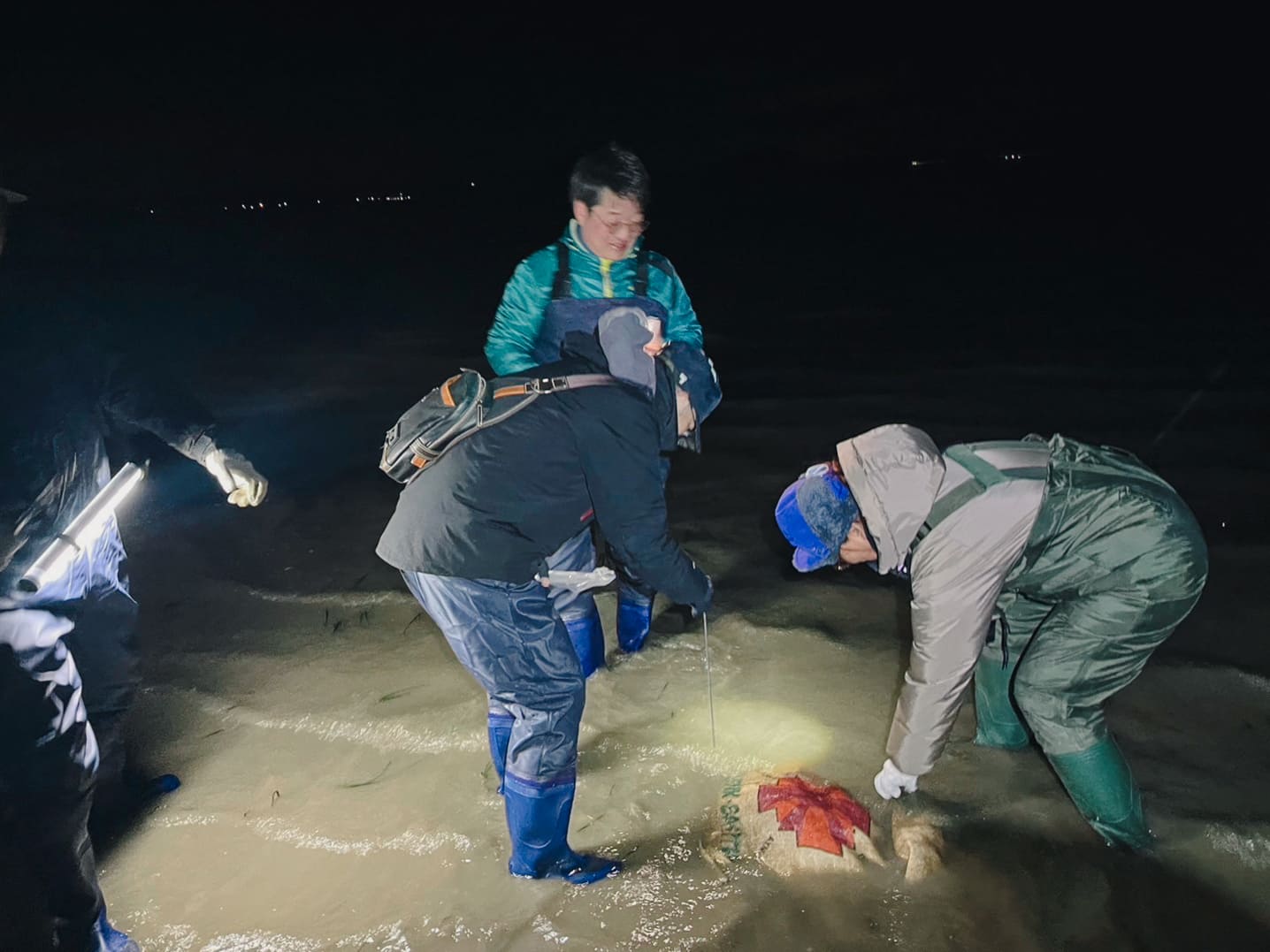 上天草ブルーカーボン　グリーンズ