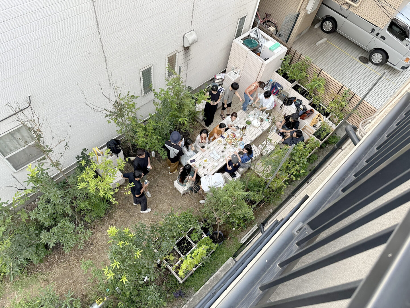 Comoris グリーンズ