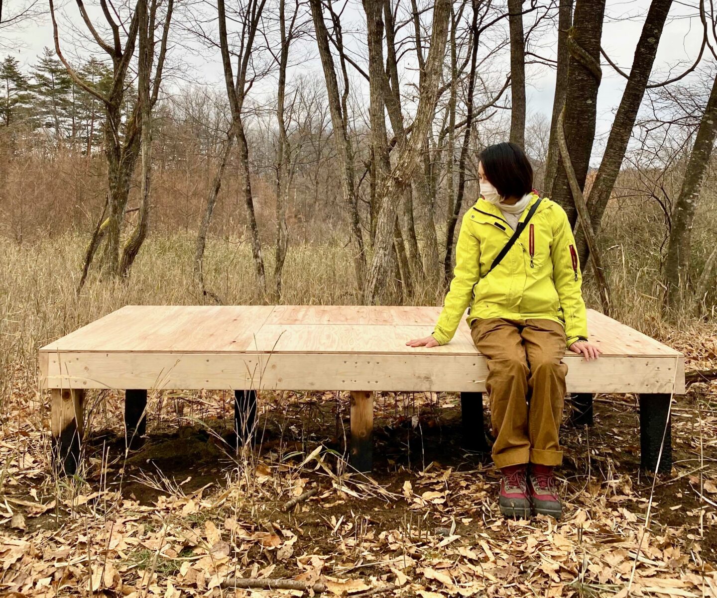 Comoris グリーンズ